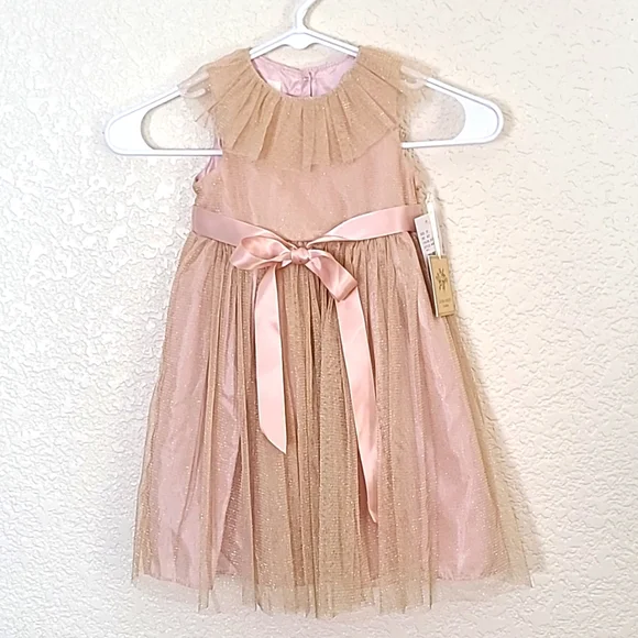 Laura Ashley | Dresses | Nwt Laura Ashley Dusty Pink Fancy Dress 2t | Poshmark Laura Ashley | Dresses | Nwt Laura Ashley Dusty Pink Fancy Dress 2t | Poshmark